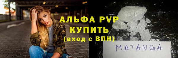 шишки Абаза