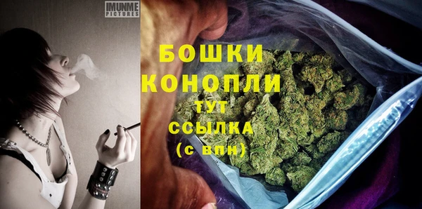mdpv Елизово