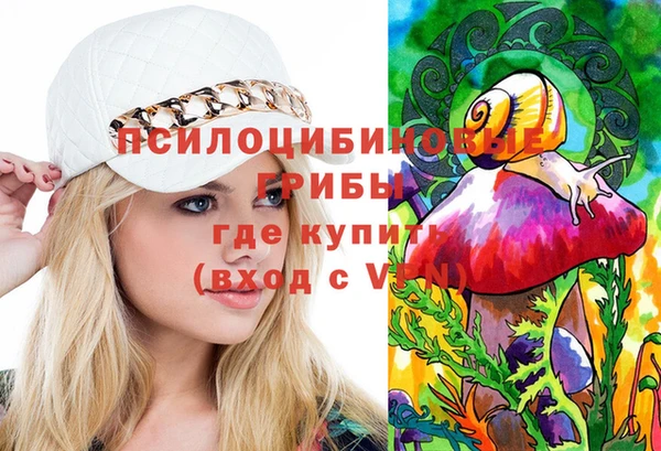 СК Абдулино