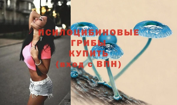 спиды Ельня