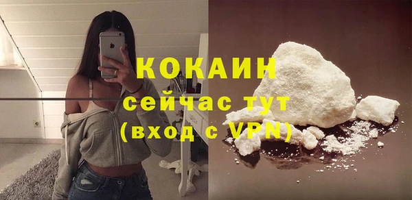 шишки Абаза